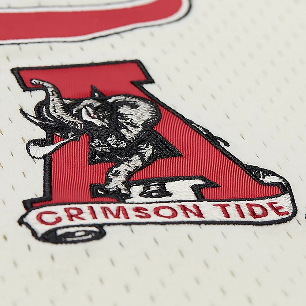 Mitchell & Ness Men's Medium Alabama Crimson Tide Vintage Logo Baseball Jersey - Picture 4 of 7